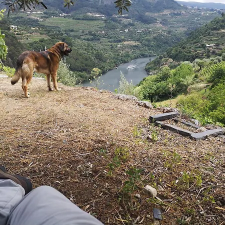 Quinta Barqueiros D'ouro - Casa Da Musica * Mesão Frio
