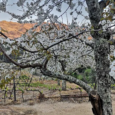 Dom wakacyjny Quinta Barqueiros D'ouro - Casa Da Musica *