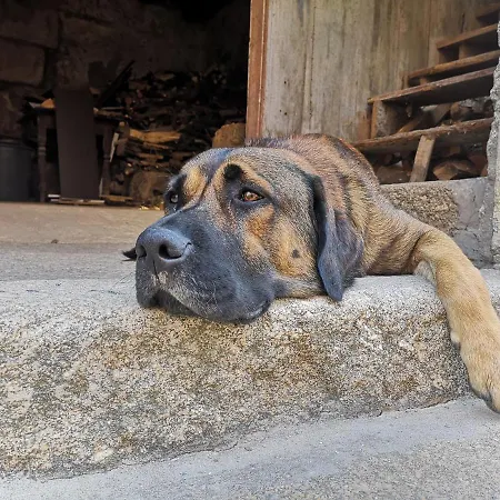 Hébergement de vacances Quinta Barqueiros D'ouro - Casa Da Musica