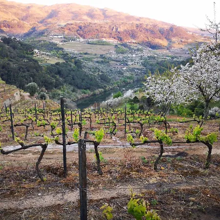 Quinta Barqueiros D'ouro - Casa Da Musica
