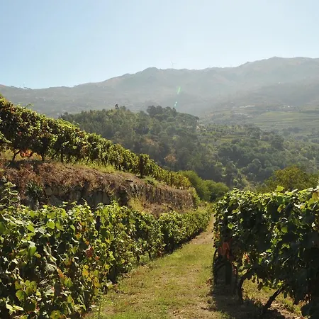 Quinta Barqueiros D'ouro - Casa Da Musica Dom wakacyjny *