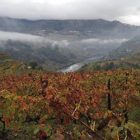 Quinta Barqueiros D'ouro - Casa Da Musica