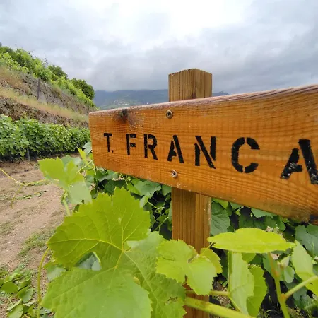 Quinta Barqueiros D'ouro - Casa Da Musica * Mesão Frio