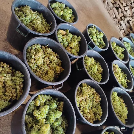 Quinta Barqueiros D'ouro - Casa Da Musica Dom wakacyjny Mesão Frio