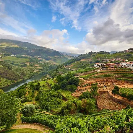 Quinta Barqueiros D'ouro - Casa Da Musica Dom wakacyjny Mesão Frio