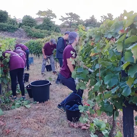 Quinta Barqueiros D'ouro - Casa Da Musica Dom wakacyjny