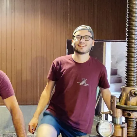 Quinta Barqueiros D'ouro - Casa Da Musica * Mesão Frio