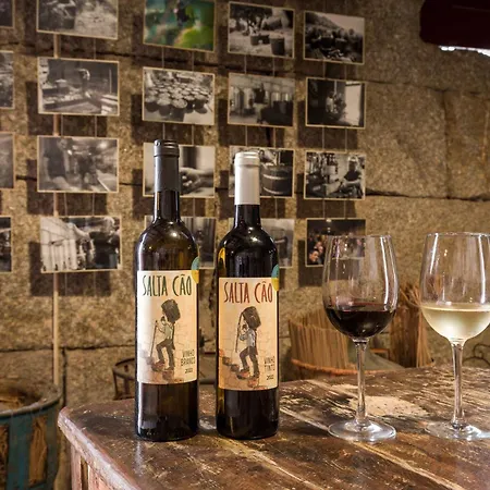 Quinta Barqueiros D'ouro - Casa Da Musica