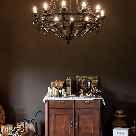 Dom wakacyjny Quinta Barqueiros D'ouro - Casa Da Musica