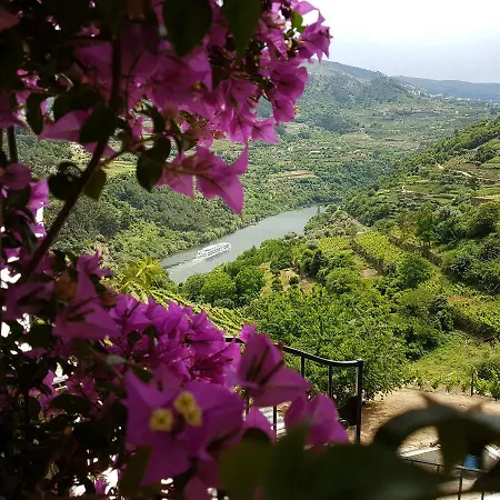Quinta Barqueiros D'ouro - Casa Da Musica Hébergement de vacances *