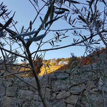 Quinta Barqueiros D'ouro - Casa Da Musica