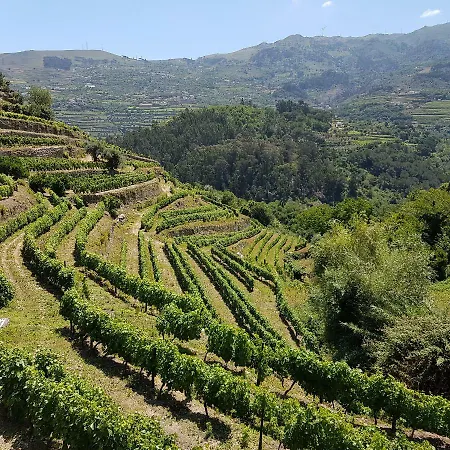 Quinta Barqueiros D'ouro - Casa Da Musica Hébergement de vacances *