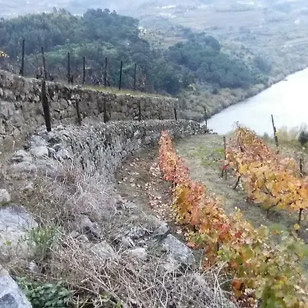 Quinta Barqueiros D'ouro - Casa Da Musica *