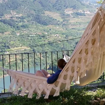 Hébergement de vacances Quinta Barqueiros D'ouro - Casa Da Musica Mesão Frio