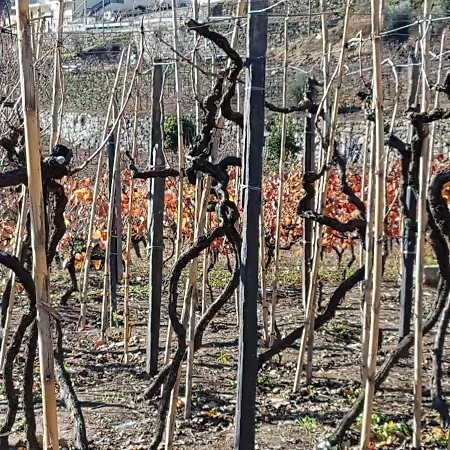 Hébergement de vacances Quinta Barqueiros D'ouro - Casa Da Musica