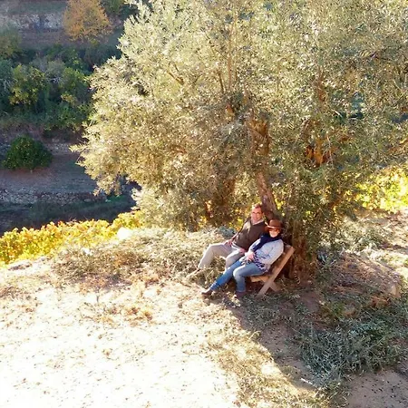 Dom wakacyjny Quinta Barqueiros D'ouro - Casa Da Musica *