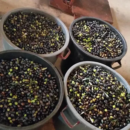 Hébergement de vacances Quinta Barqueiros D'ouro - Casa Da Musica *