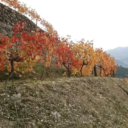 Quinta Barqueiros D'ouro - Casa Da Musica *