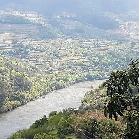 Quinta Barqueiros D'ouro - Casa Da Musica Dom wakacyjny *