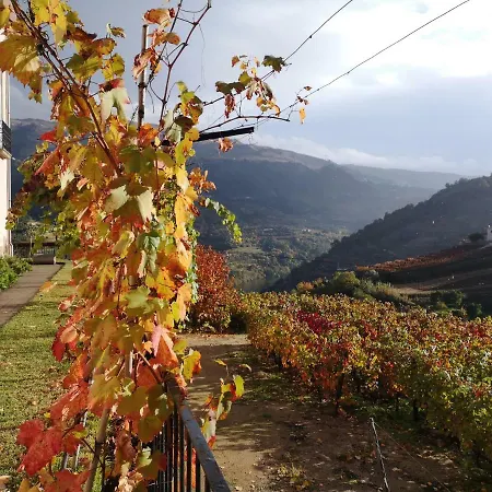 Quinta Barqueiros D'ouro - Casa Da Musica
