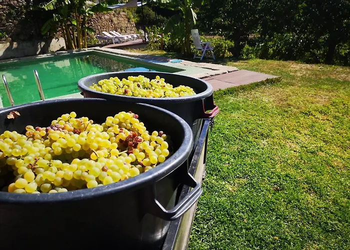 Quinta Barqueiros D'ouro - Casa Da Musica Mesão Frio
