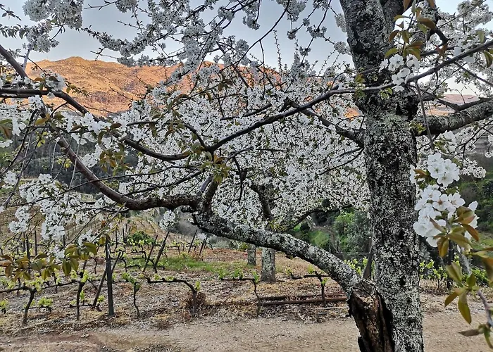 بيت للعطل Quinta Barqueiros D'ouro - Casa Da Musica *