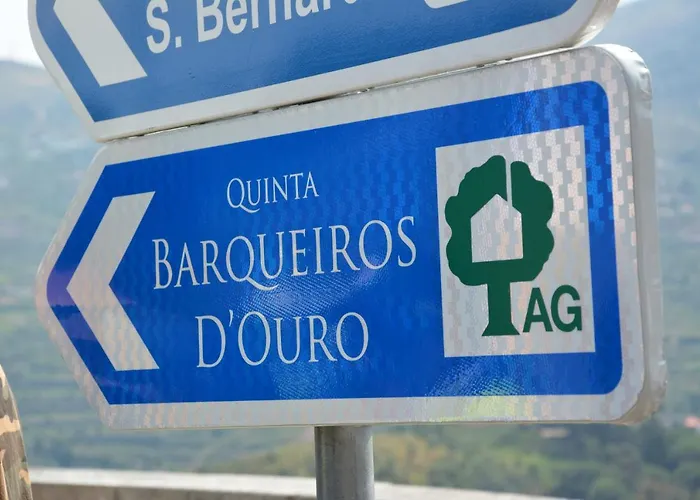 Quinta Barqueiros D'ouro - Casa Da Musica Mesão Frio