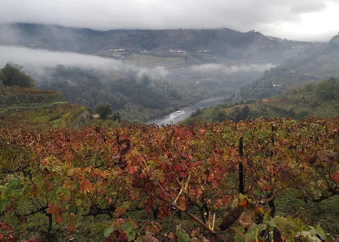 Quinta Barqueiros D'ouro - Casa Da Musica