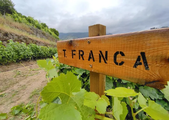 Quinta Barqueiros D'ouro - Casa Da Musica * Mesão Frio