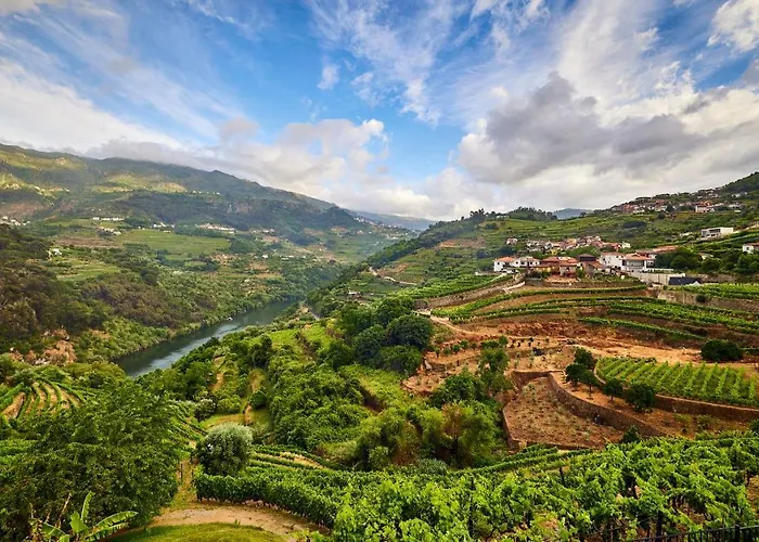 Quinta Barqueiros D'ouro - Casa Da Musica 度假居 梅骚·弗里奥
