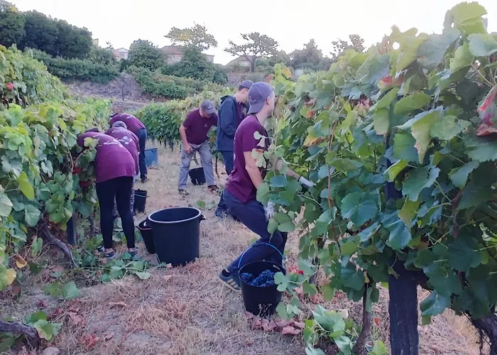 Quinta Barqueiros D'ouro - Casa Da Musica بيت للعطل
