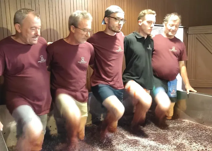 Quinta Barqueiros D'ouro - Casa Da Musica