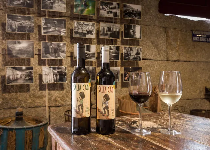 Quinta Barqueiros D'ouro - Casa Da Musica