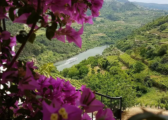 Quinta Barqueiros D'ouro - Casa Da Musica Vakantiehuis *