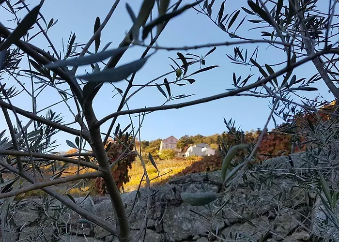 Quinta Barqueiros D'ouro - Casa Da Musica