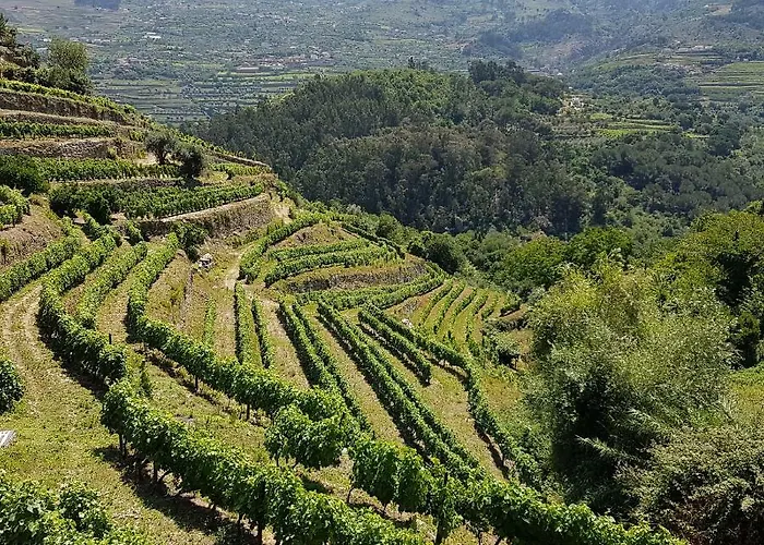 Quinta Barqueiros D'ouro - Casa Da Musica 度假居 *