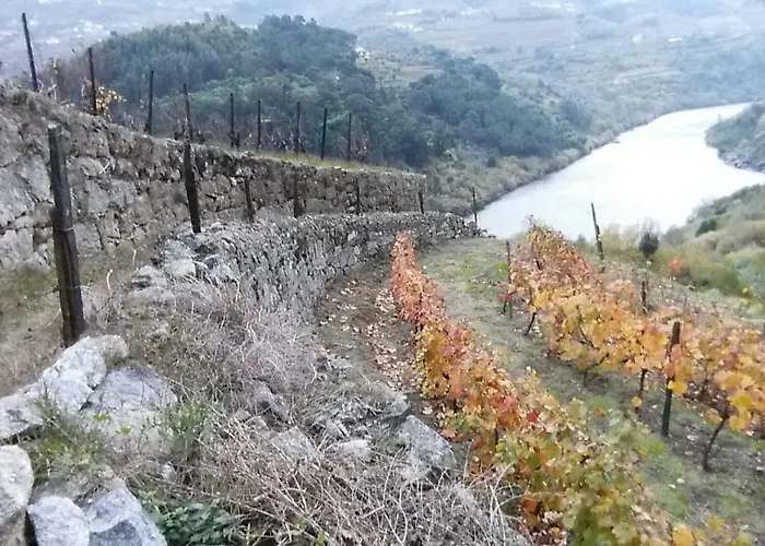 Quinta Barqueiros D'ouro - Casa Da Musica *