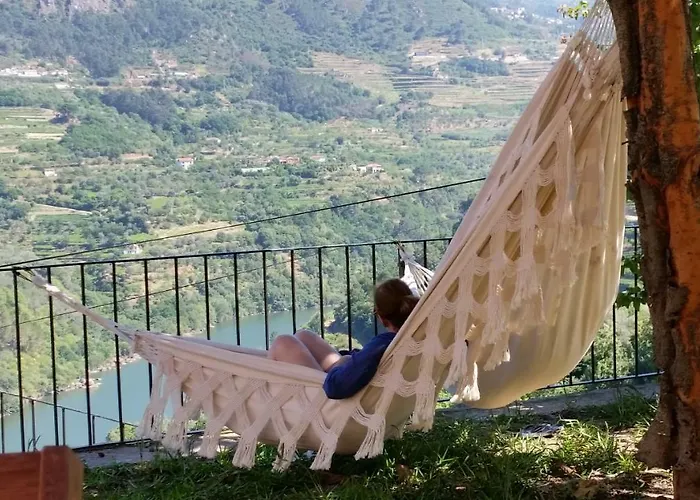 Vakantiehuis Quinta Barqueiros D'ouro - Casa Da Musica Mesão Frio