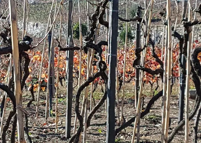 度假居 Quinta Barqueiros D'ouro - Casa Da Musica