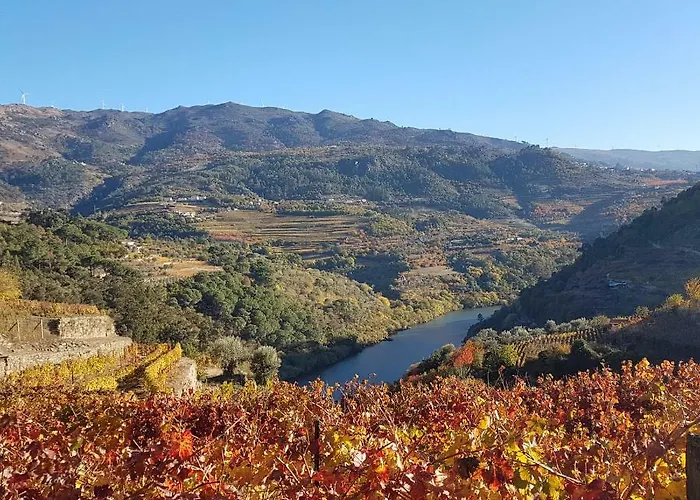 Vakantiehuis Quinta Barqueiros D'ouro - Casa Da Musica