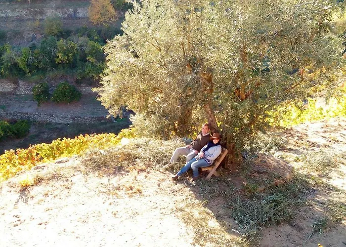 度假居 Quinta Barqueiros D'ouro - Casa Da Musica *