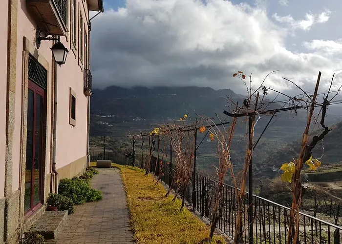 Quinta Barqueiros D'ouro - Casa Da Musica * 梅骚·弗里奥