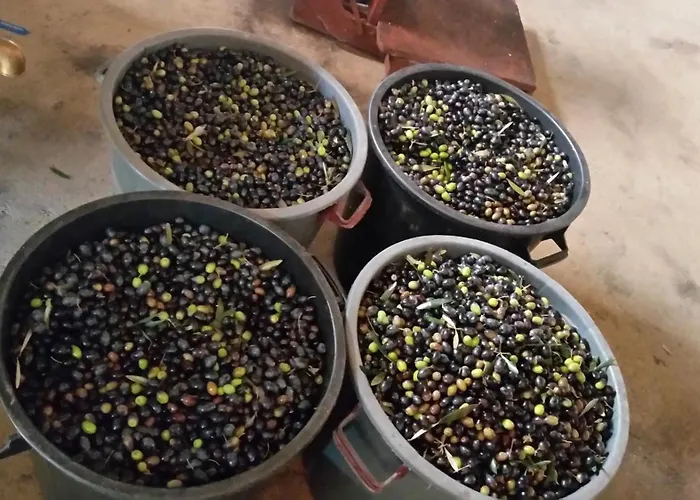 Vakantiehuis Quinta Barqueiros D'ouro - Casa Da Musica *