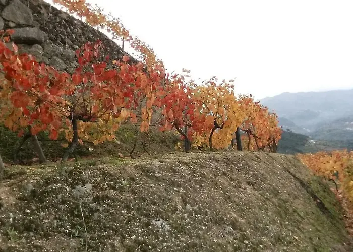Quinta Barqueiros D'ouro - Casa Da Musica *