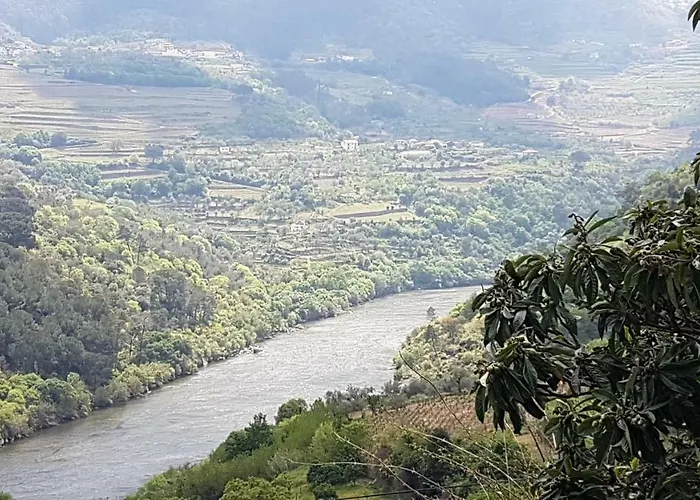 Quinta Barqueiros D'ouro - Casa Da Musica بيت للعطل *