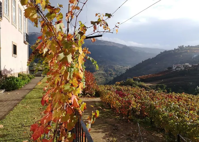 Quinta Barqueiros D'ouro - Casa Da Musica